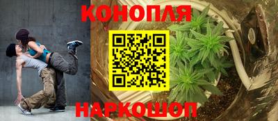ECSTASY Камышлов