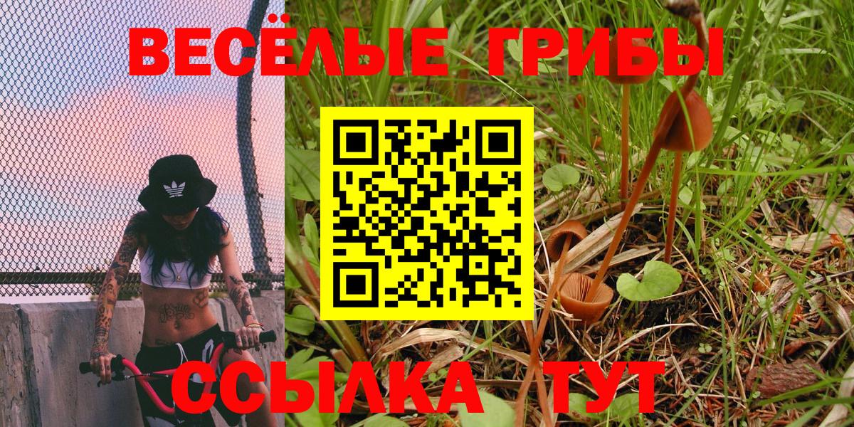 Галлюциногенные грибы мухоморы Кумертау