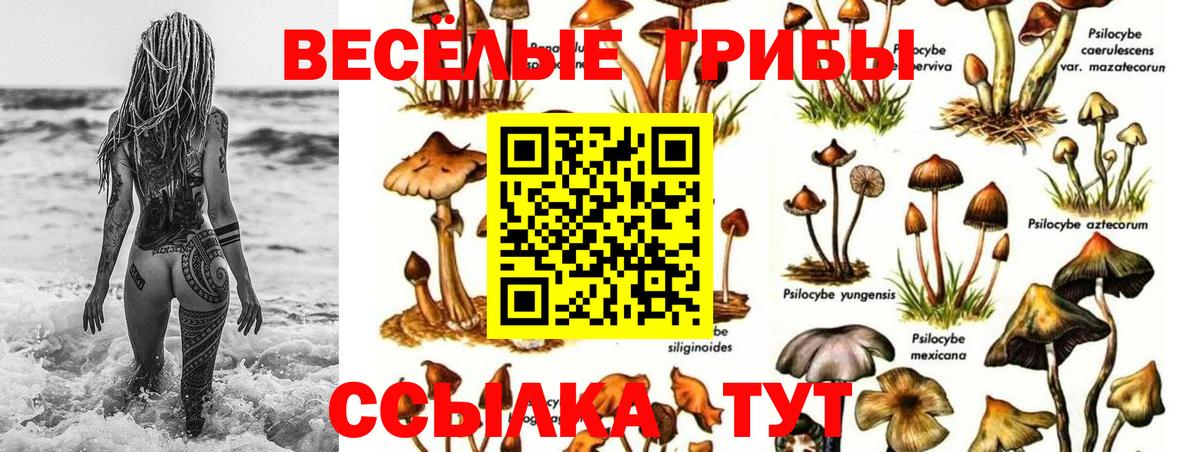 Псилоцибиновые грибы мицелий  Вход с VPN  Кумертау 